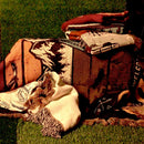 HYUGA Extra Large Camping Blanket (68"x48")- Camping Rug, Beach Blanket, Picnic Blanket, Outdoor Blanket, Bed Sofa Couch PA LED BULB - HYUGA